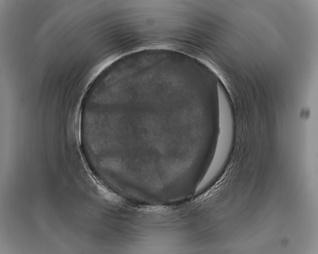 X0000096991127200802291203