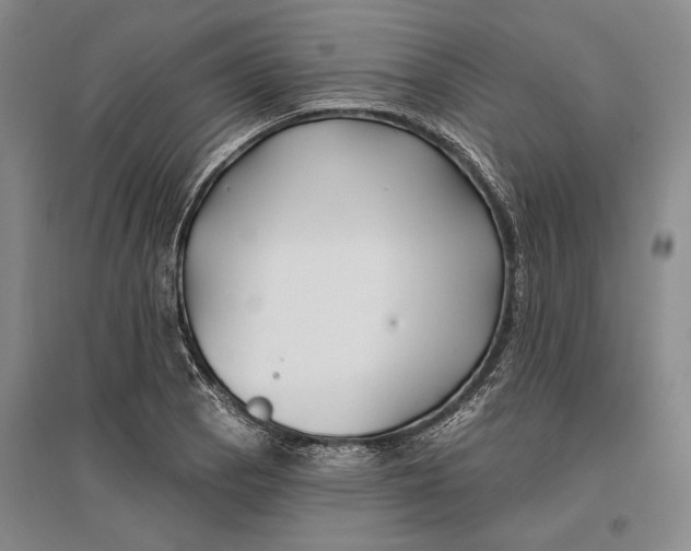 X0000096991129200802291203