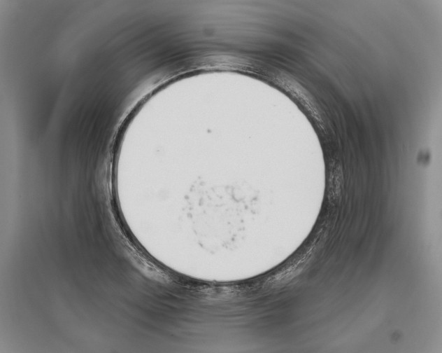 X0000096991130200802291203