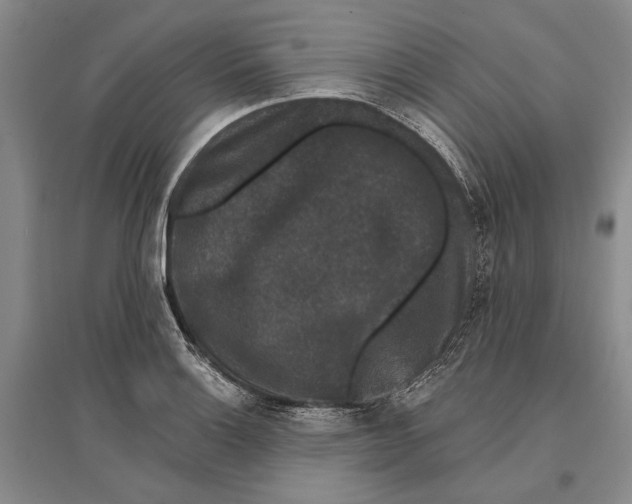 X0000096991132200802291203