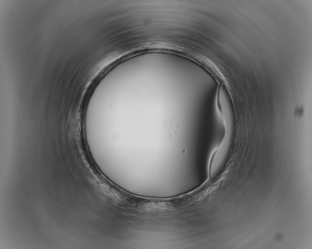 X0000096991133200802291203