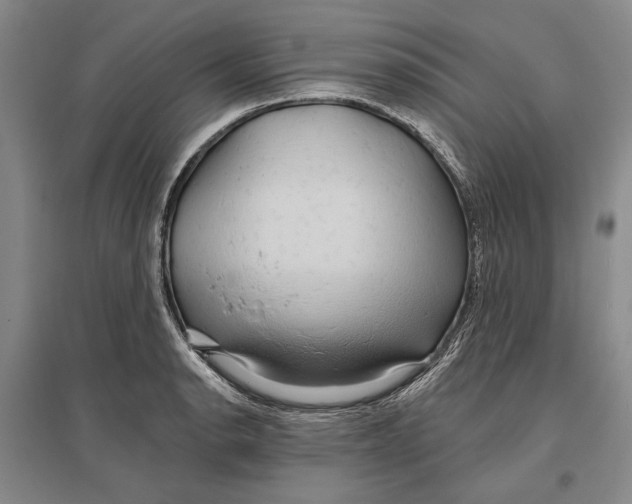 X0000096991134200802291203