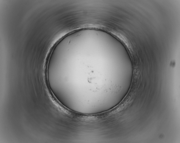 X0000096991135200802291203