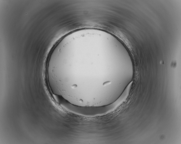 X0000096991136200802291203