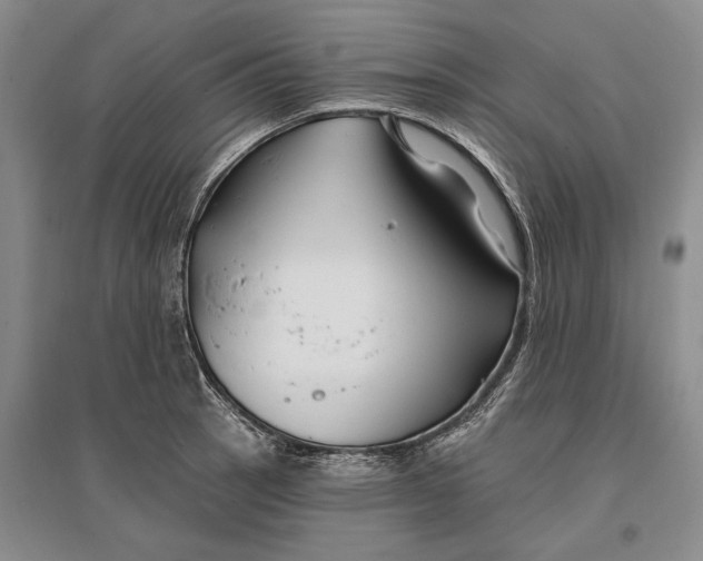 X0000096991137200802291203