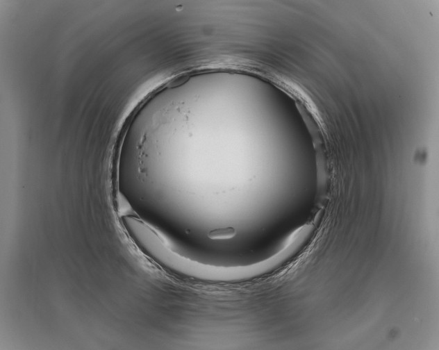 X0000096991138200802291203