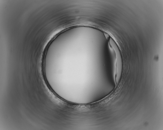 X0000096991139200802291203