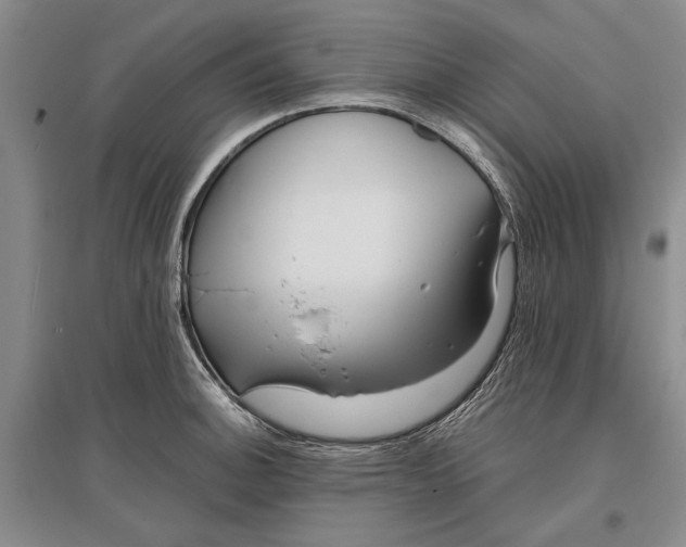 X0000096991140200802291203