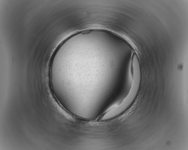 X0000096991142200802291203