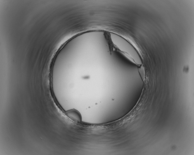 X0000096991143200802291203