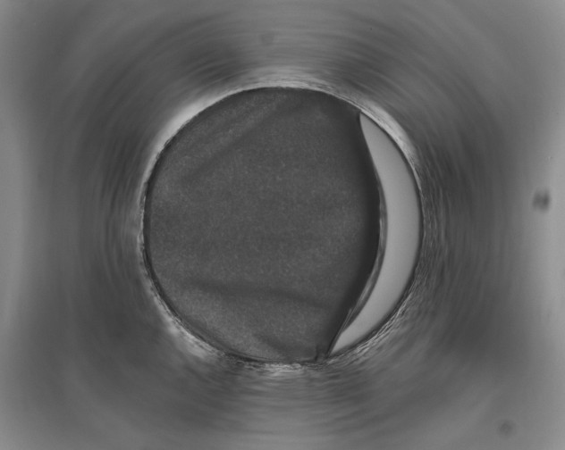 X0000096991144200802291203