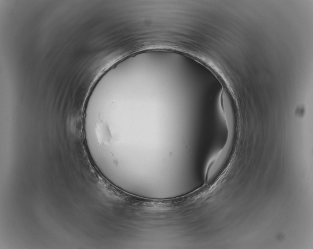 X0000096991145200802291203