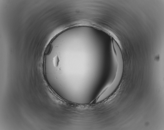 X0000096991146200802291203