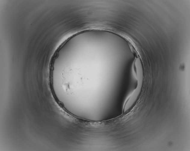 X0000096991147200802291203