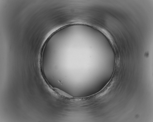 X0000096991149200802291203