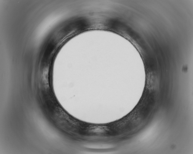 X0000096991150200802291203