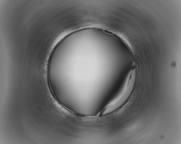 X0000096991151200802291203