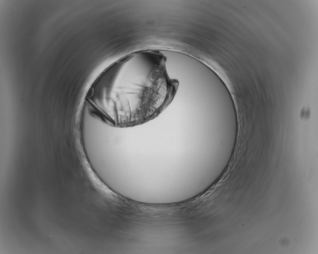 X0000096991152200802291203