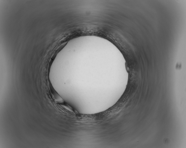 X0000096991153200802291202