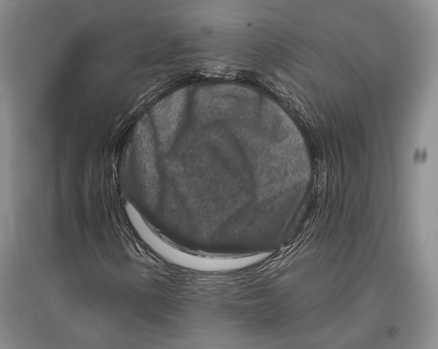 X0000096991154200802291202