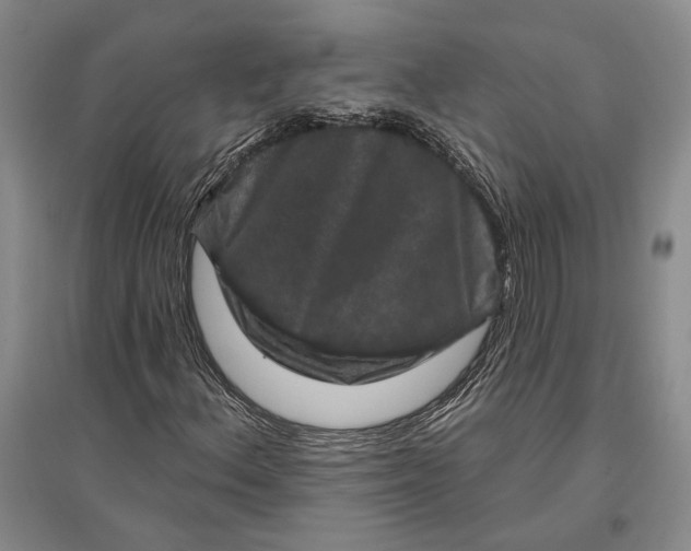 X0000096991156200802291202