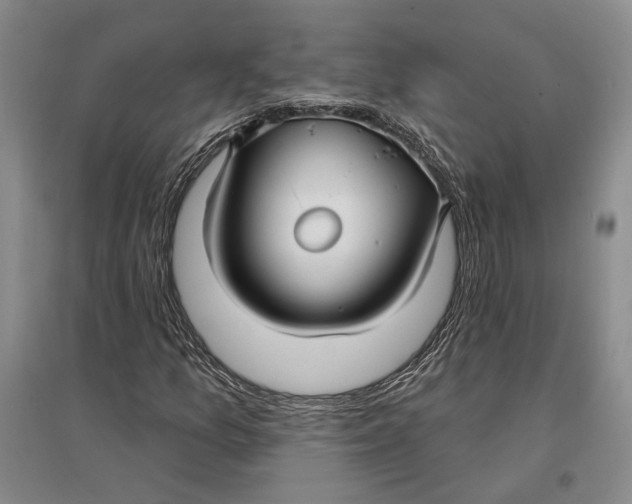 X0000096991157200802291202