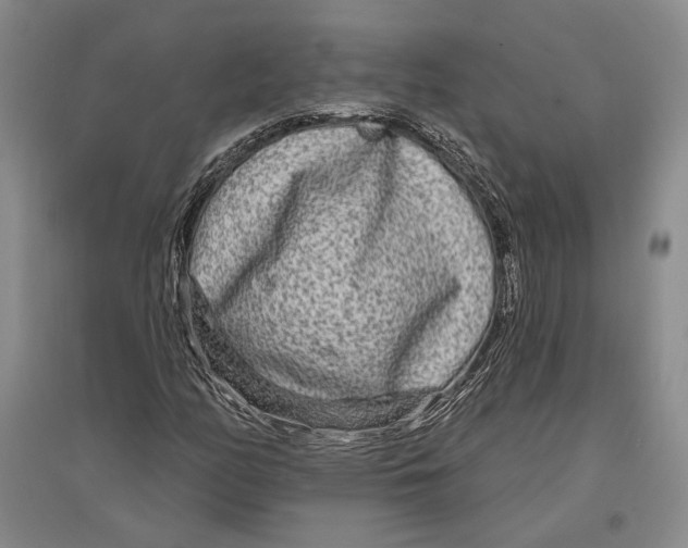 X0000096991158200802291202