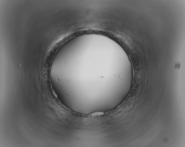 X0000096991159200802291202