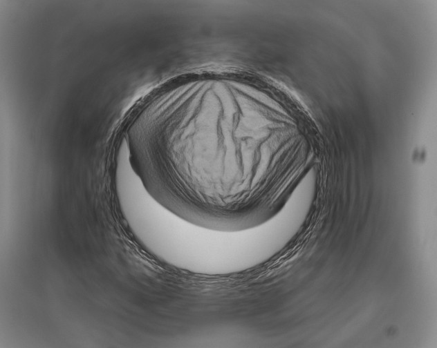 X0000096991160200802291202