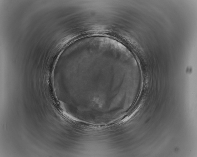 X0000096991161200802291202