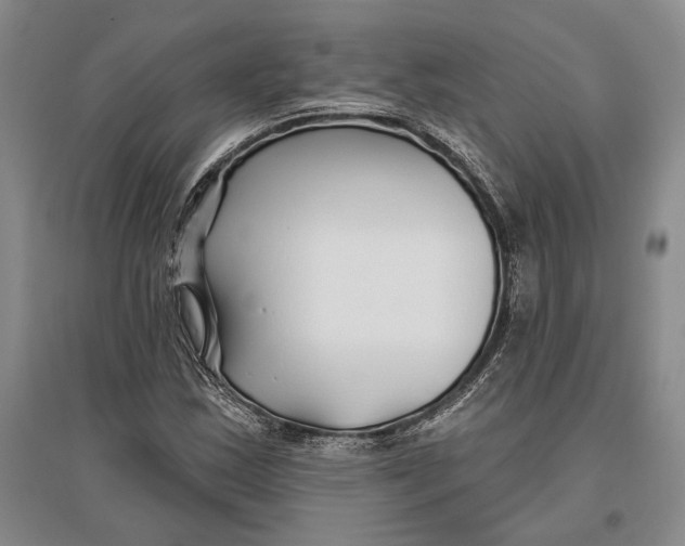 X0000096991163200802291202