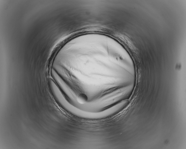 X0000096991164200802291202