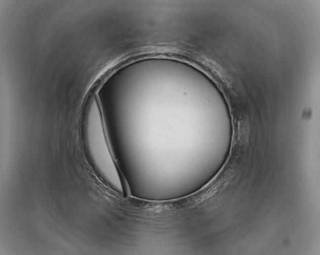 X0000096991165200802291202