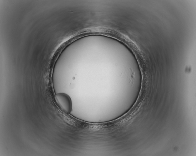 X0000096991166200802291202