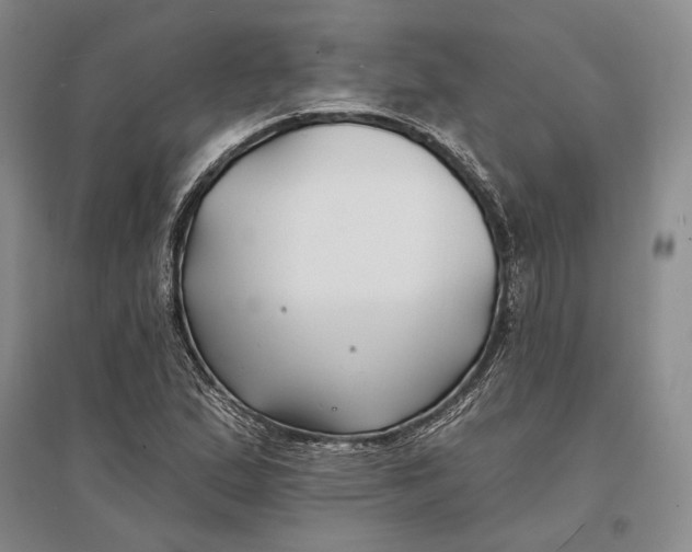 X0000096991167200802291202