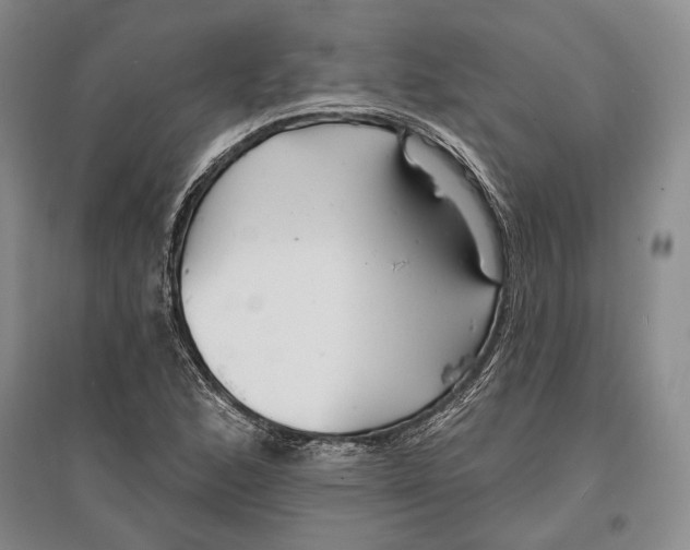 X0000096991168200802291202