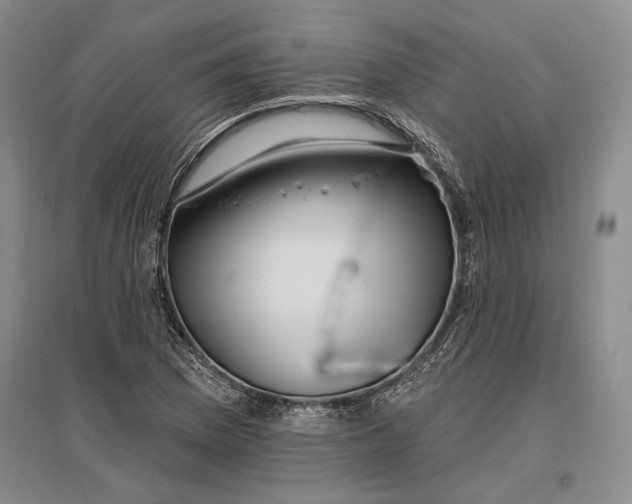 X0000096991169200802291202