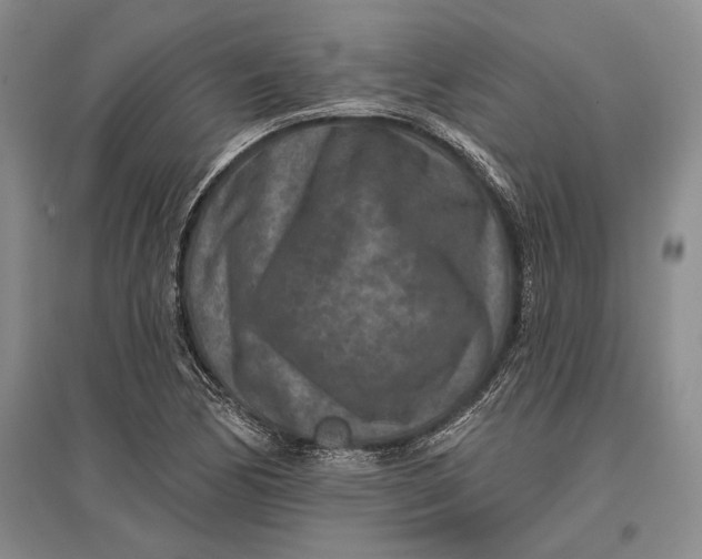 X0000096991170200802291202