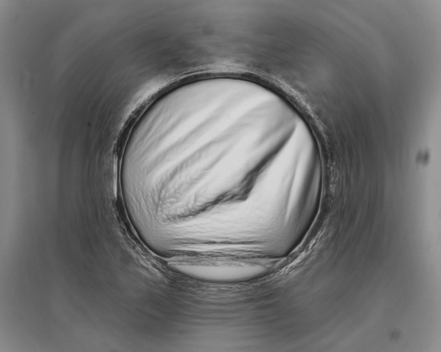 X0000096991171200802291202