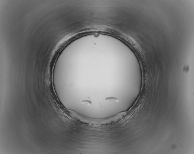 X0000096991172200802291202