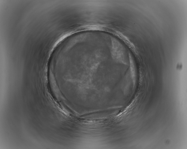 X0000096991174200802291202