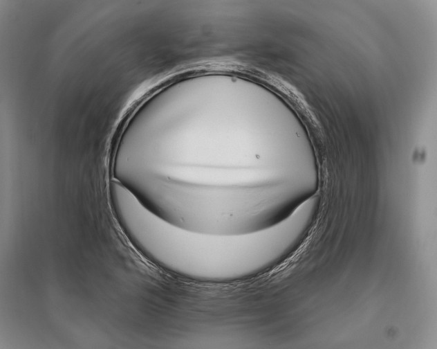 X0000096991176200802291202