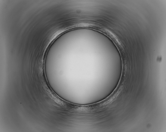 X0000096991178200802291202