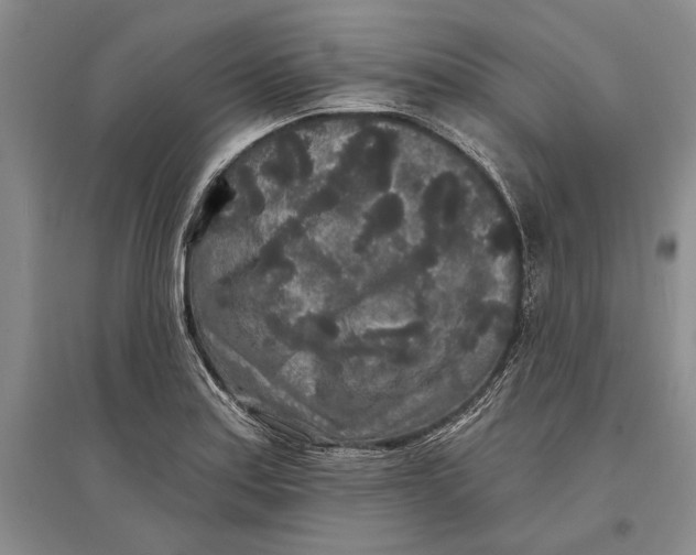 X0000096991179200802291202