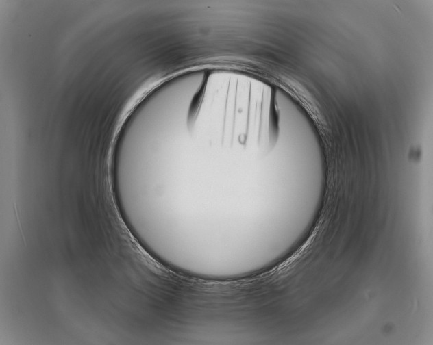 X0000096991180200802291202