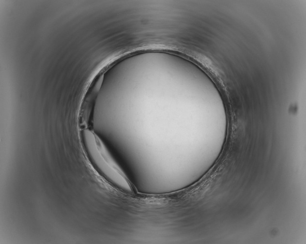 X0000096991181200802291202