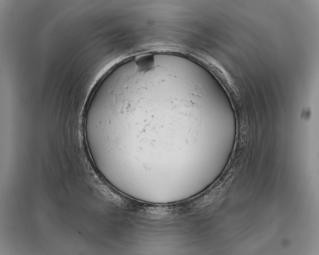 X0000096991182200802291202