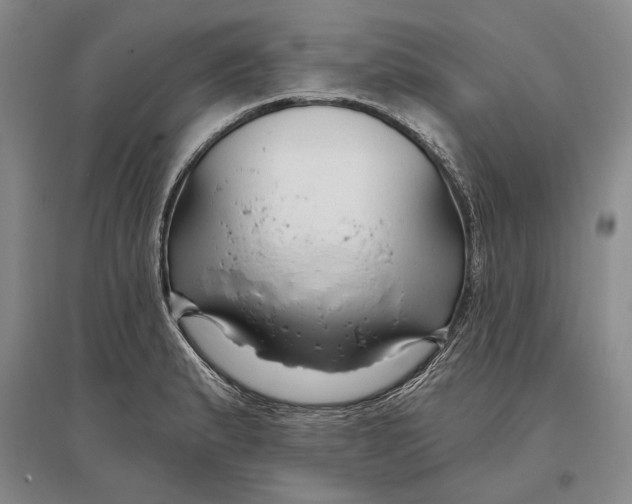 X0000096991183200802291202