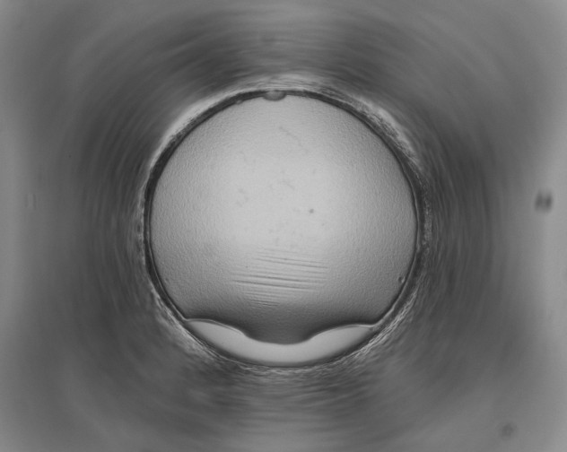 X0000096991184200802291202