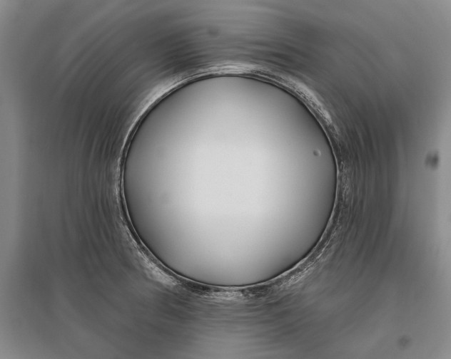 X0000096991186200802291202